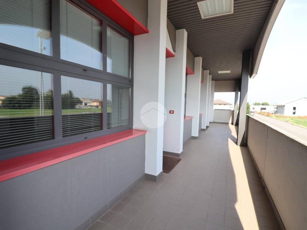 immagine annuncio 8 di 11