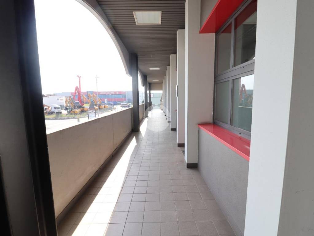 immagine annuncio 9 di 11