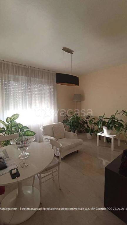 immagine annuncio 5 di 14