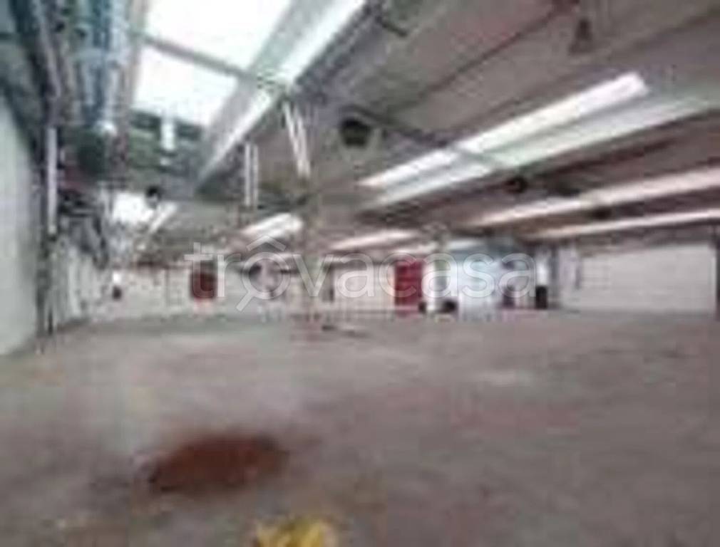 immagine annuncio 4 di 12