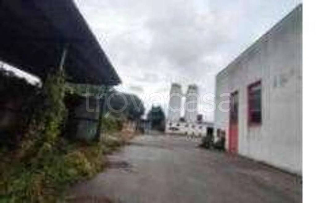 immagine annuncio 7 di 12