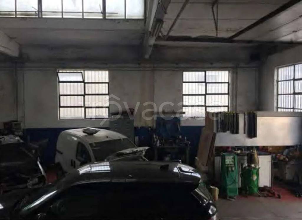 immagine annuncio 5 di 15