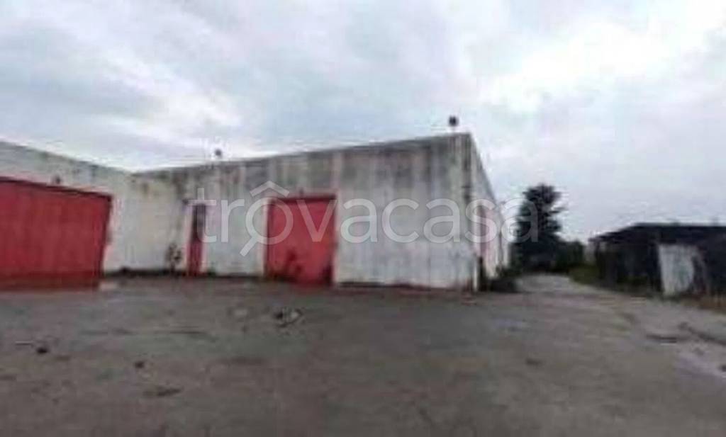 immagine annuncio 9 di 12