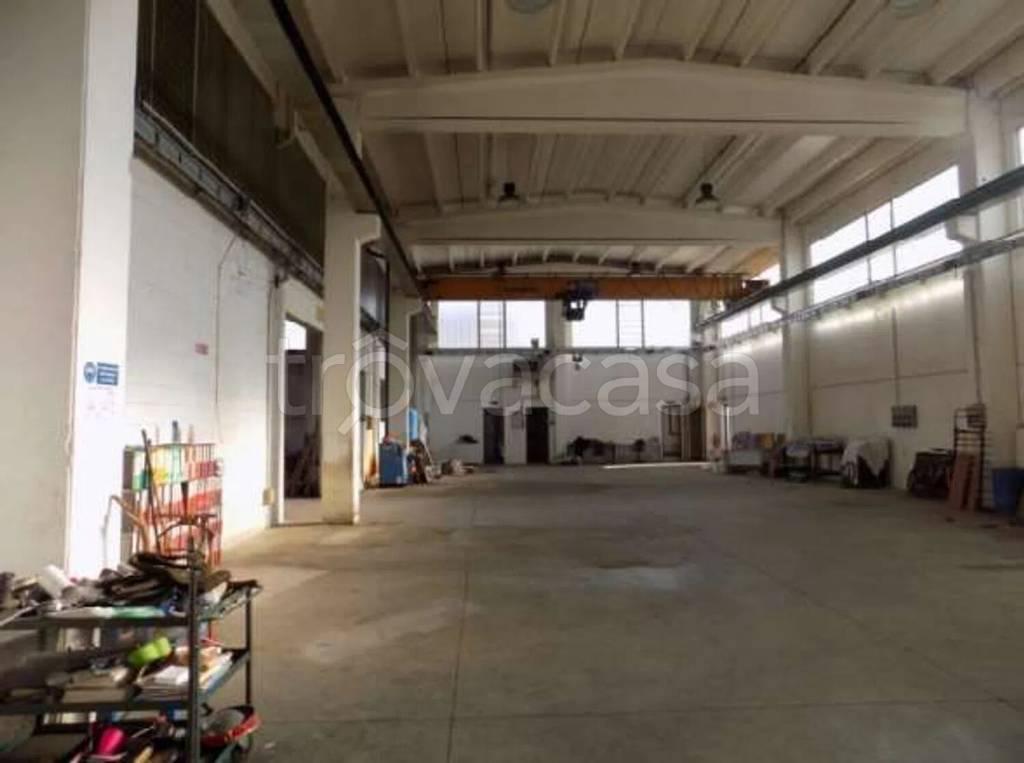 immagine annuncio 9 di 15