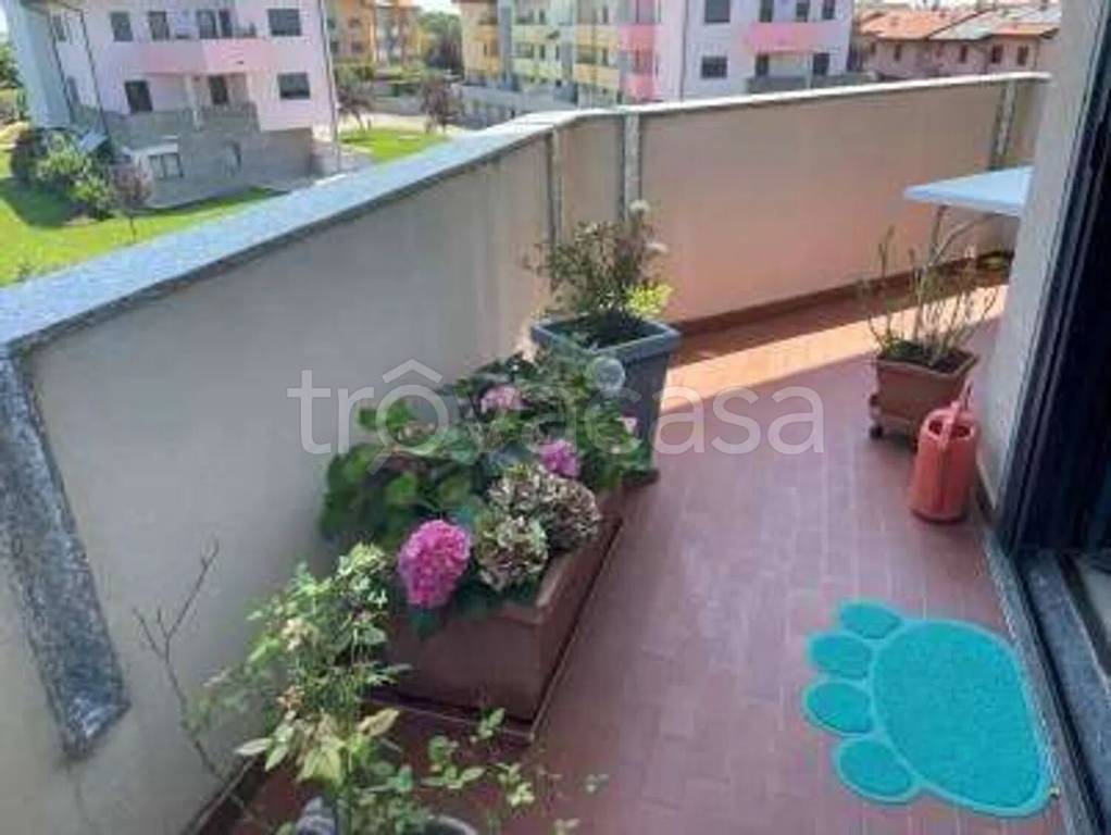 immagine annuncio 4 di 15