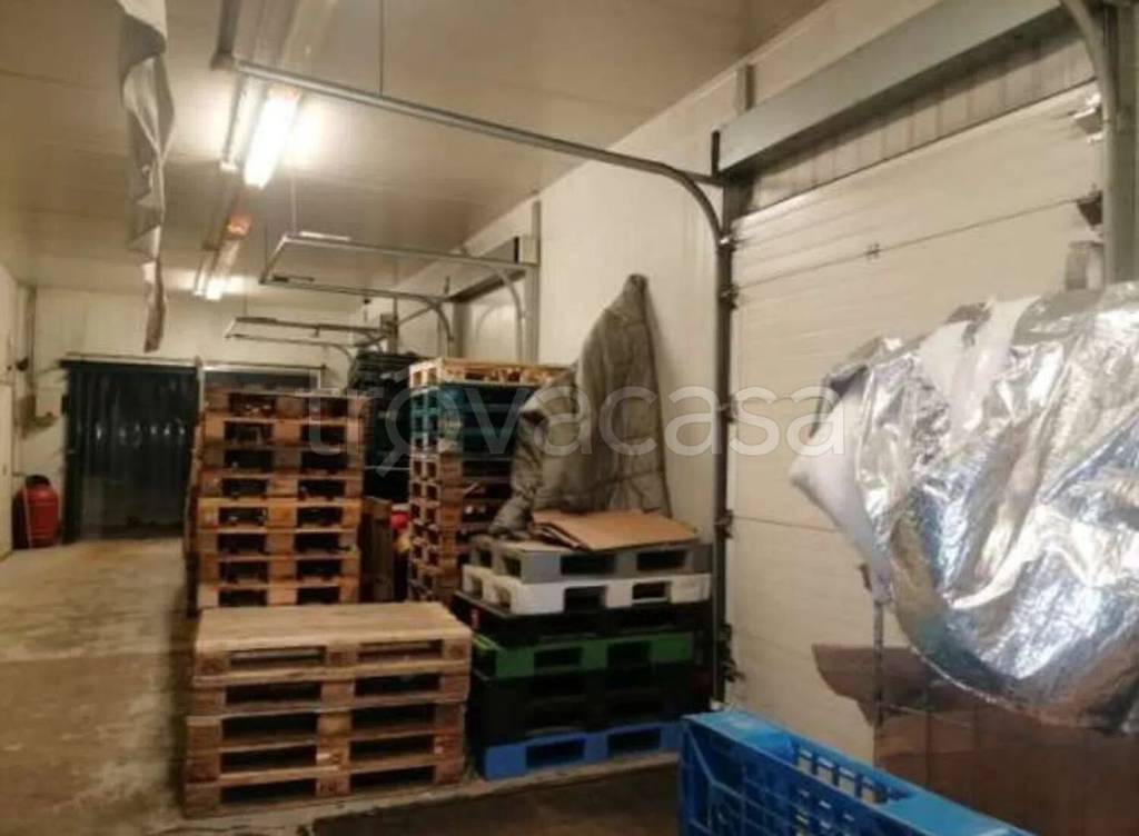 immagine annuncio 2 di 8