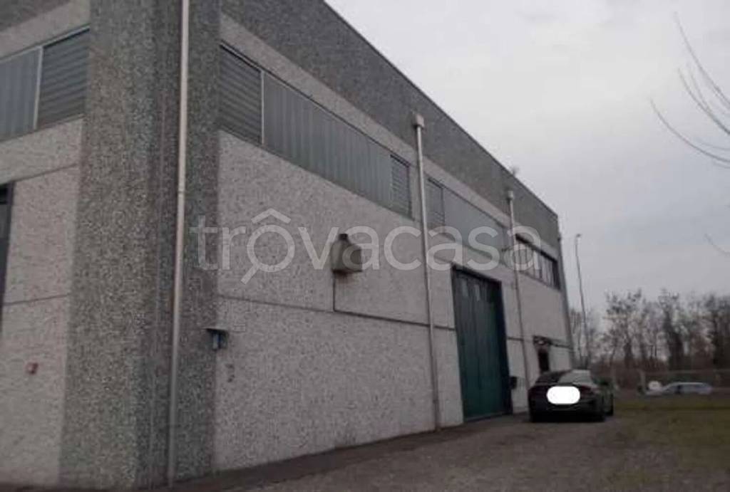 immagine annuncio 1 di 12