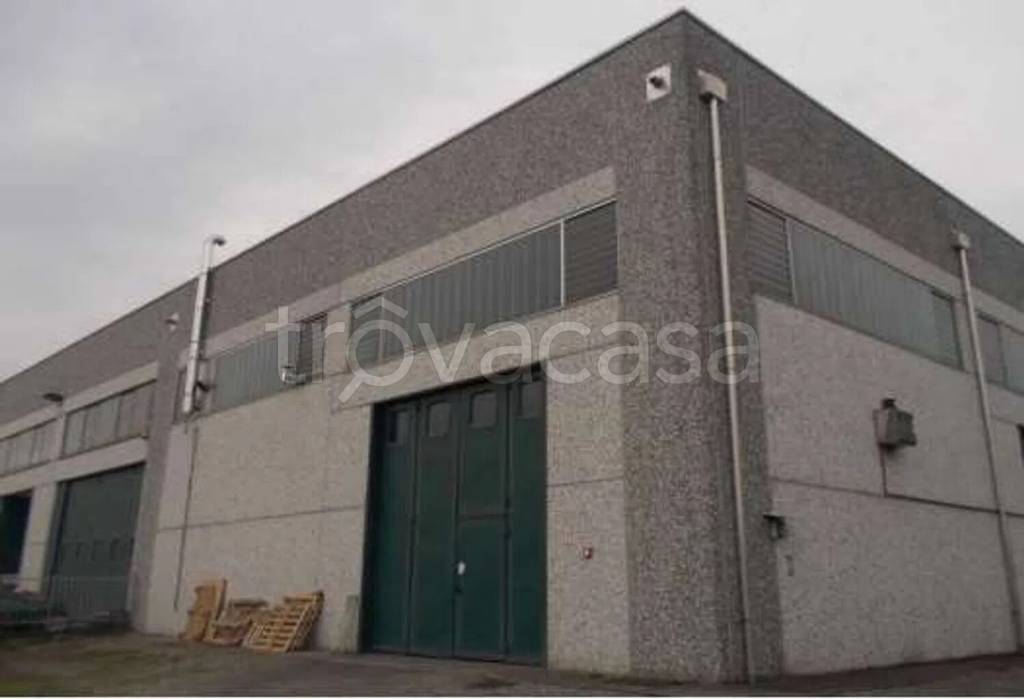 immagine annuncio 2 di 12