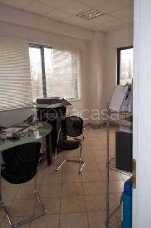 immagine annuncio 9 di 12