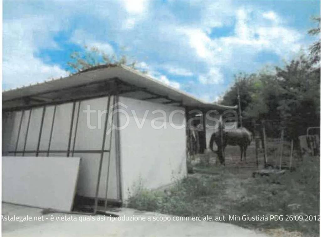 immagine annuncio 5 di 11