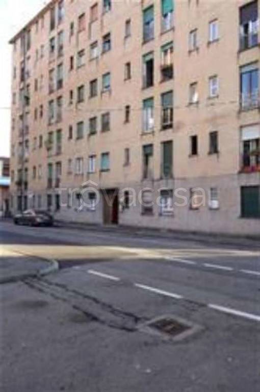 immagine annuncio 2 di 14