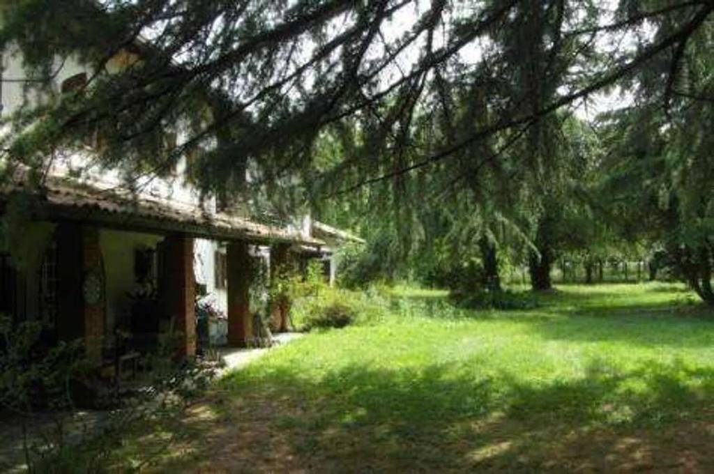 immagine annuncio 4 di 11