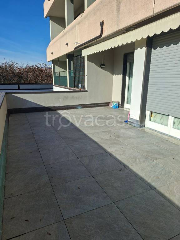 immagine annuncio 5 di 11