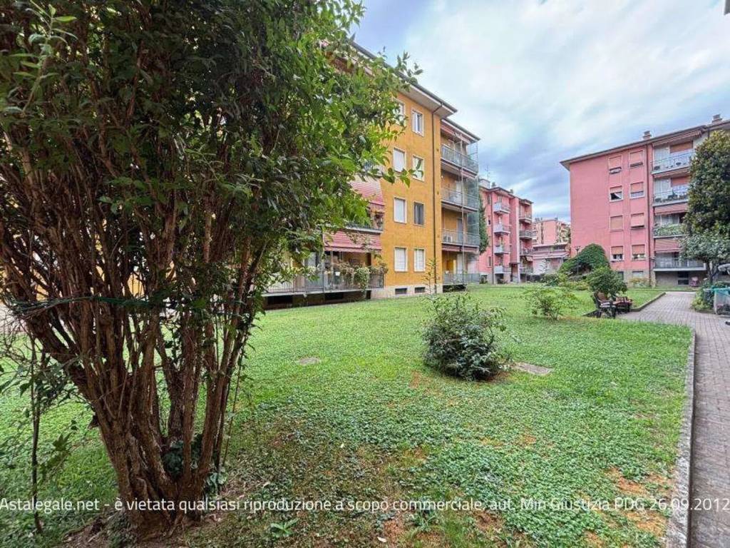 immagine annuncio 3 di 8