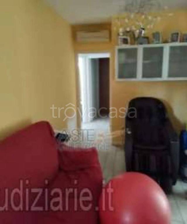 immagine annuncio 6 di 14