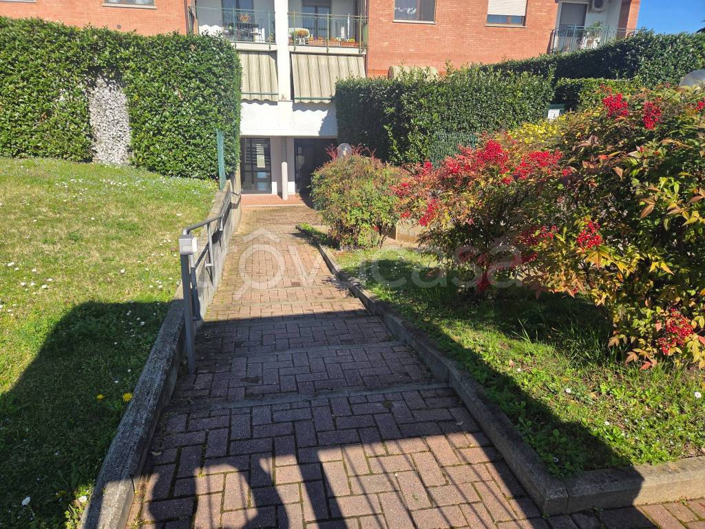 immagine annuncio 1 di 15