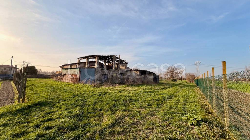 immagine annuncio 2 di 7