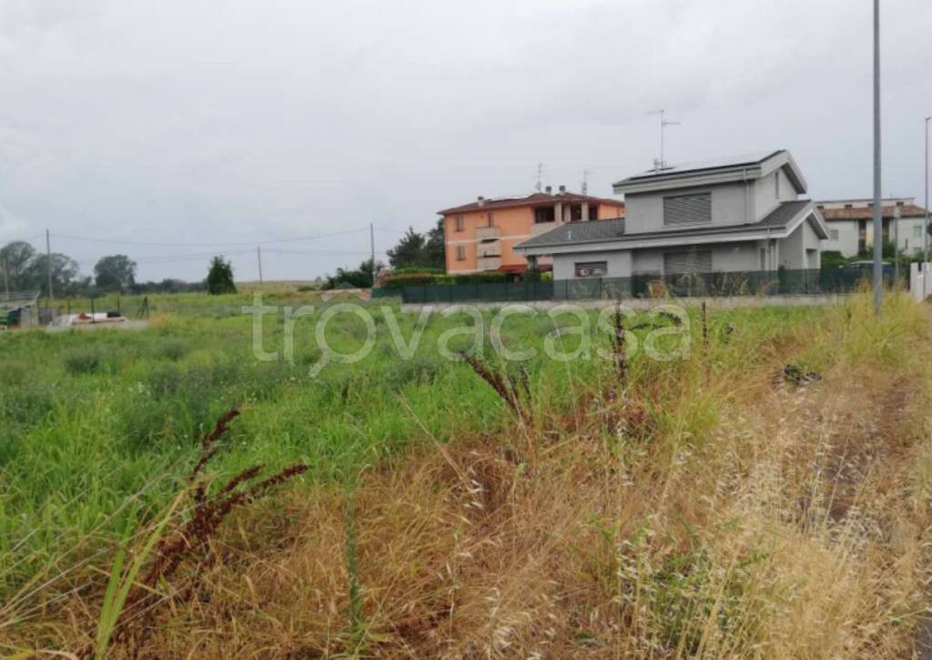 immagine annuncio 1 di 11