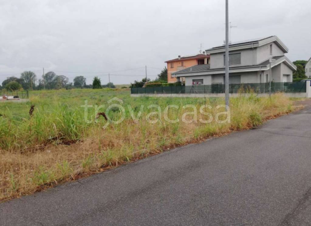 immagine annuncio 2 di 11