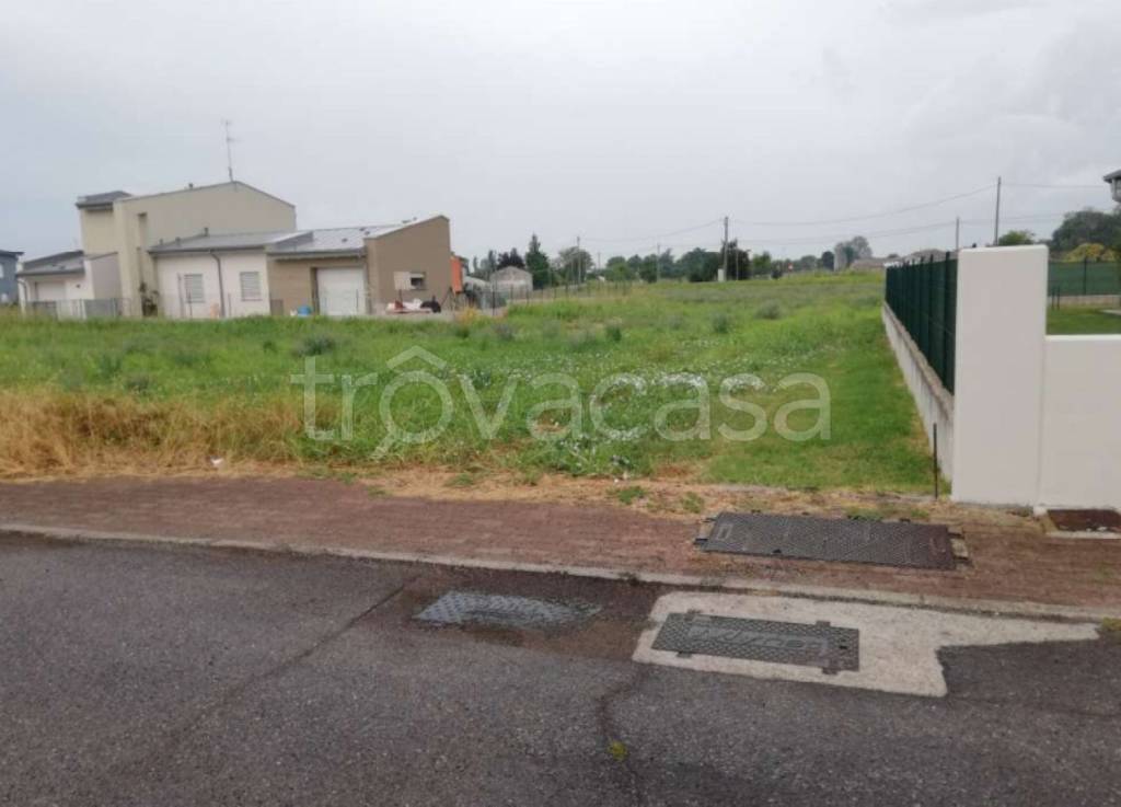 immagine annuncio 4 di 11