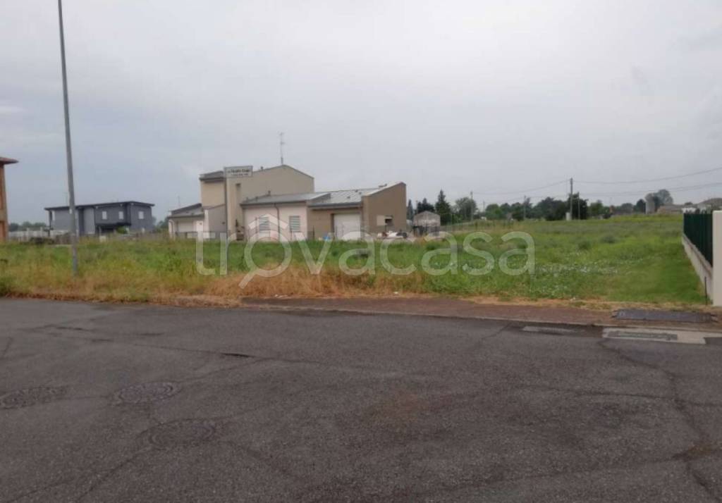 immagine annuncio 3 di 11