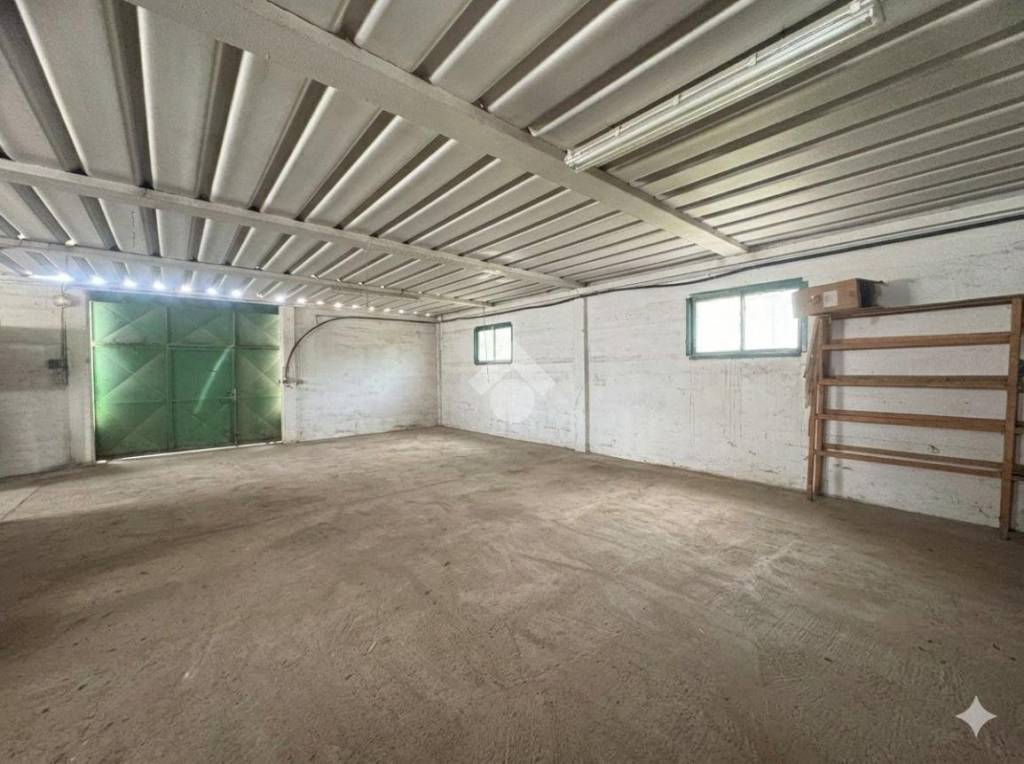 immagine annuncio 2 di 12