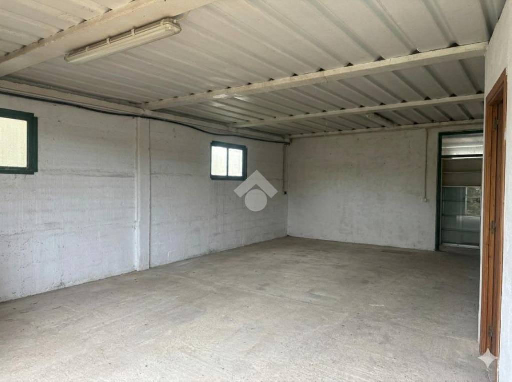 immagine annuncio 6 di 12