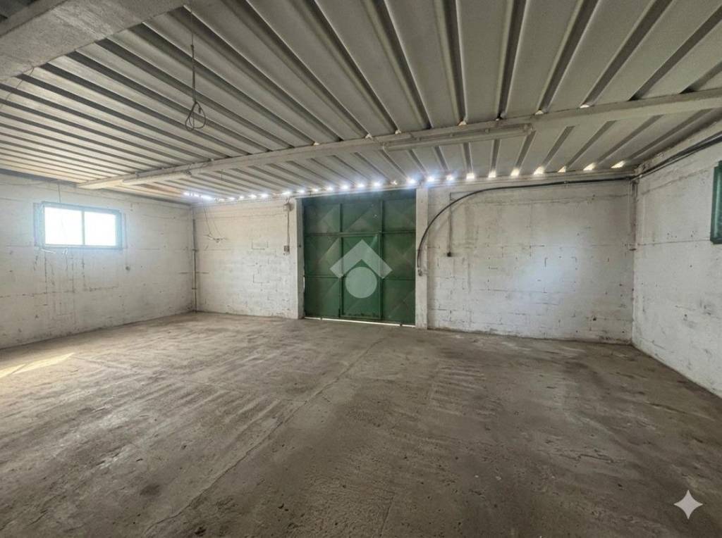 immagine annuncio 9 di 12