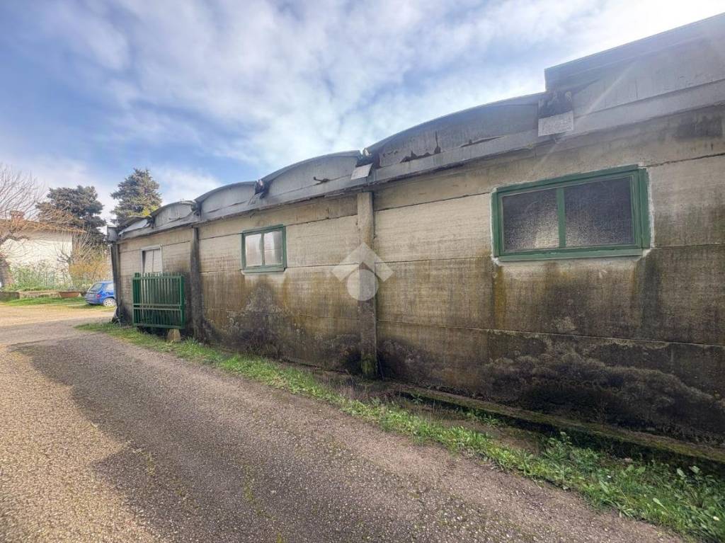 immagine annuncio 10 di 12