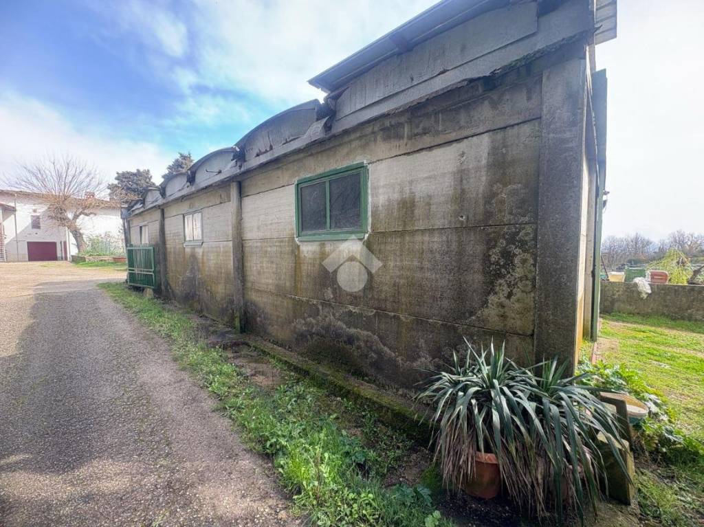 immagine annuncio 11 di 12