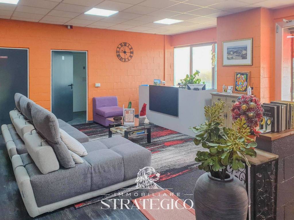 immagine annuncio 9 di 15