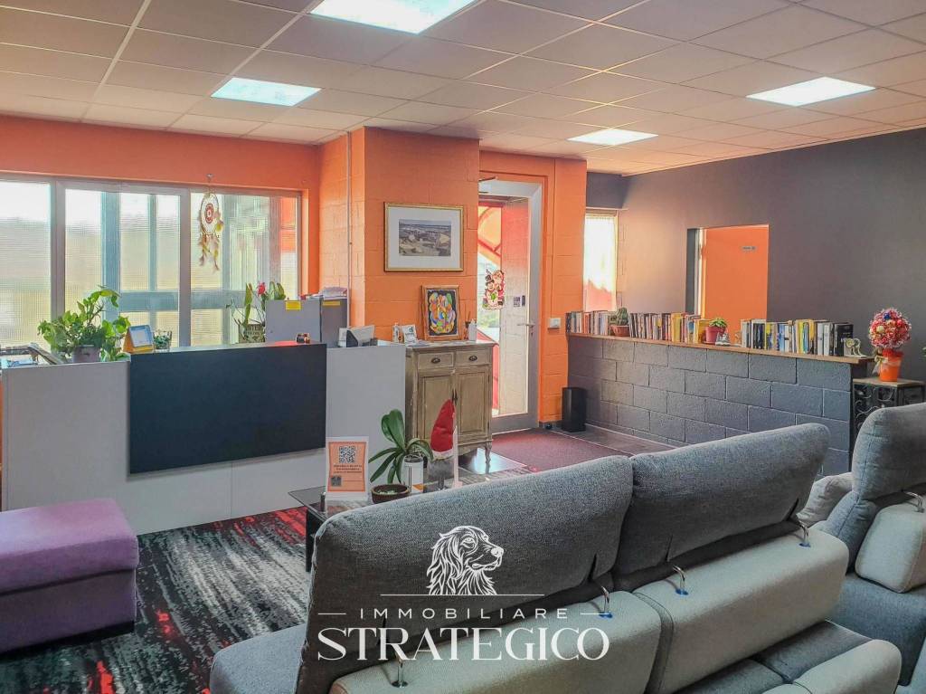 immagine annuncio 10 di 15