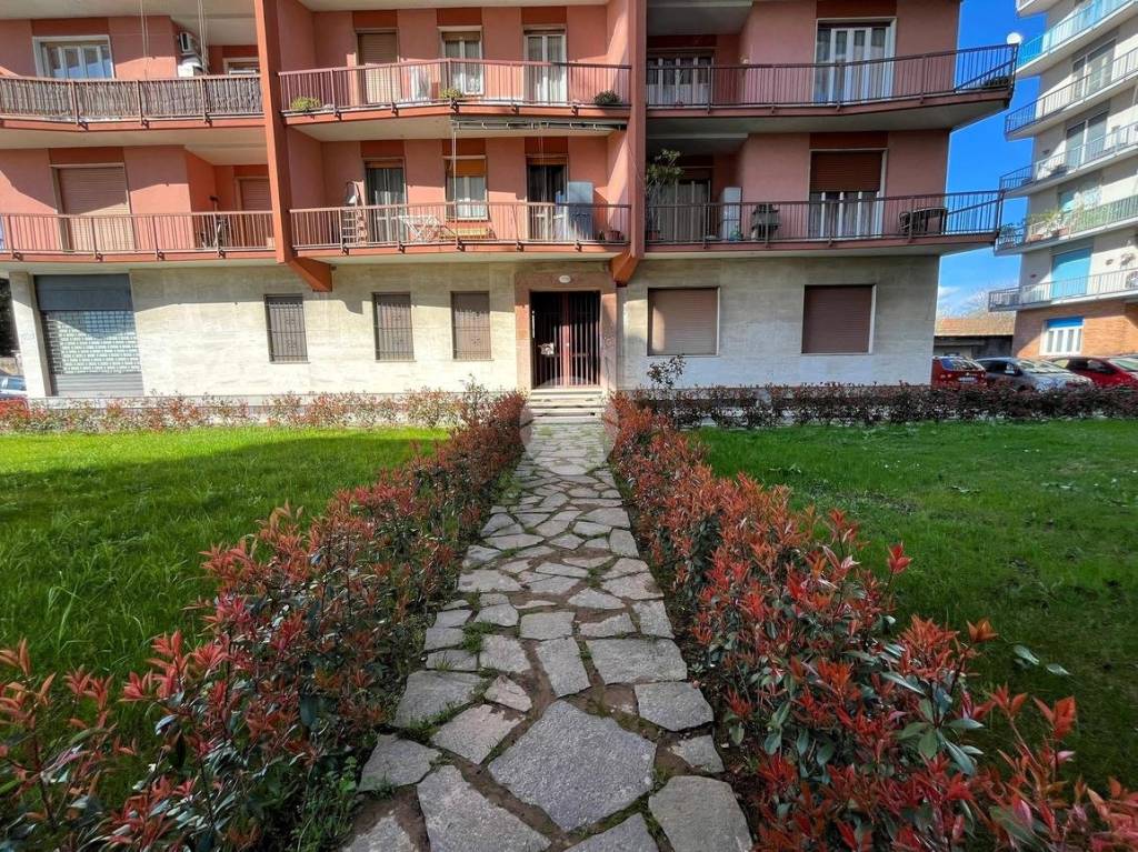 immagine annuncio 1 di 15