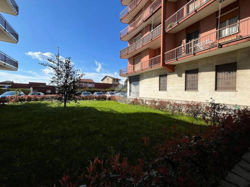 immagine annuncio 6 di 15