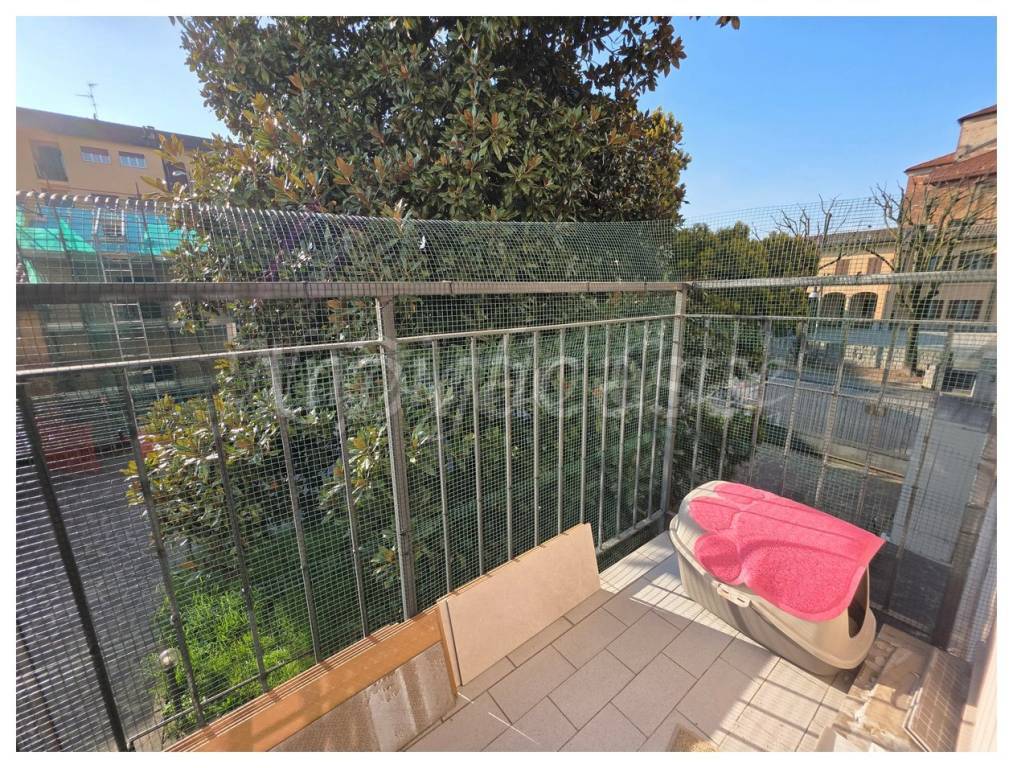 immagine annuncio 12 di 15