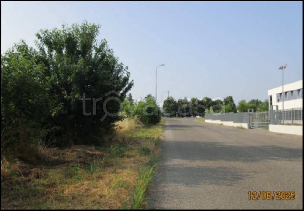 immagine annuncio 1 di 14