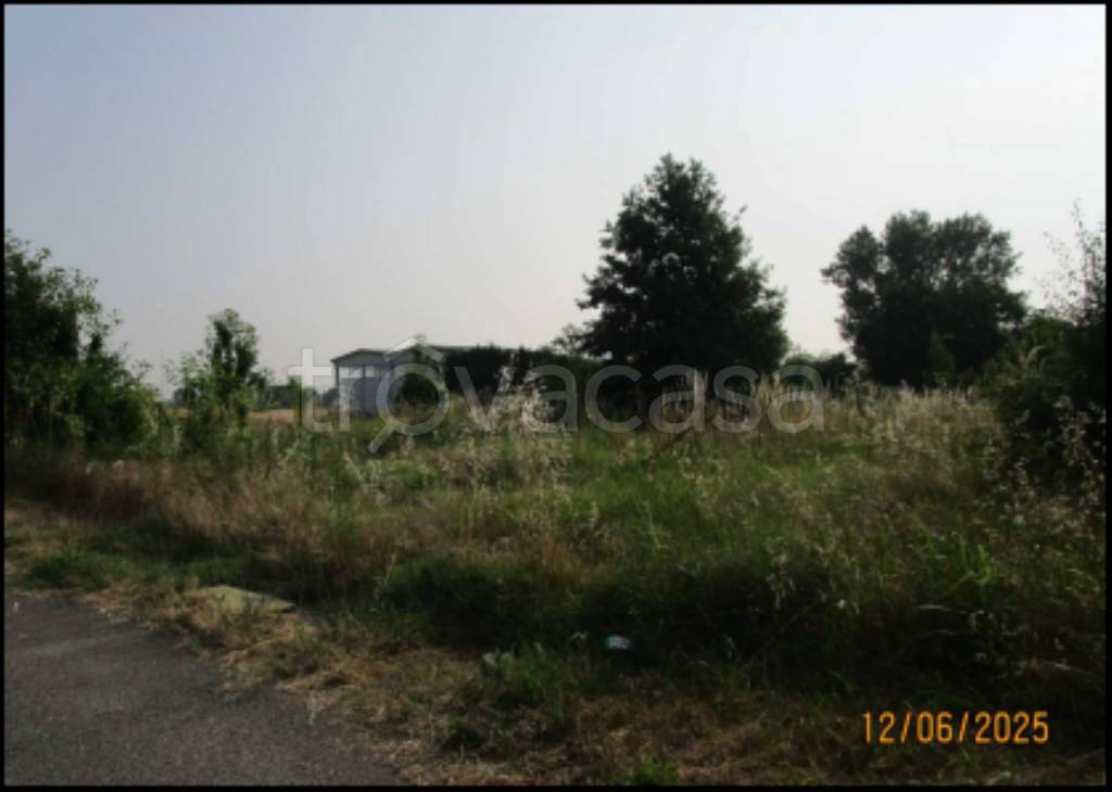 immagine annuncio 9 di 14