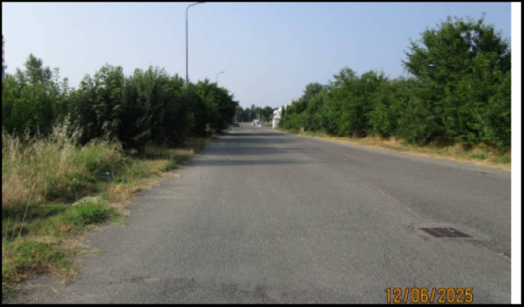 immagine annuncio 11 di 14