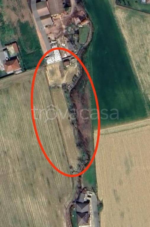 immagine annuncio 2 di 12