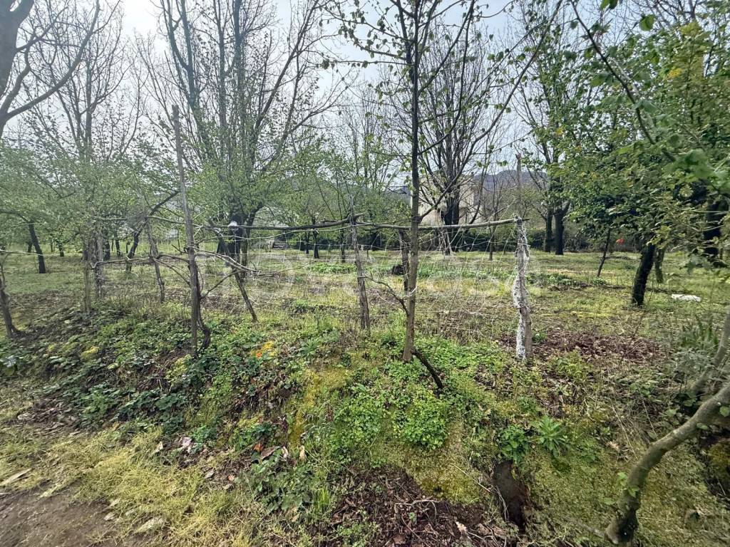 immagine annuncio 1 di 6