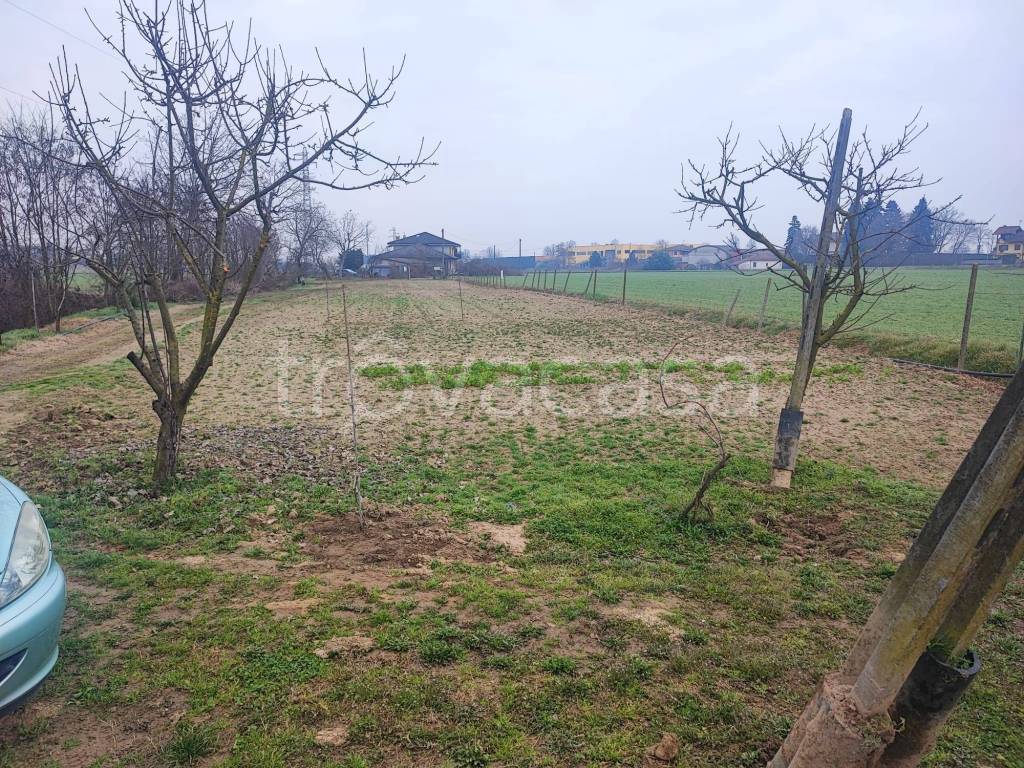 immagine annuncio 3 di 12