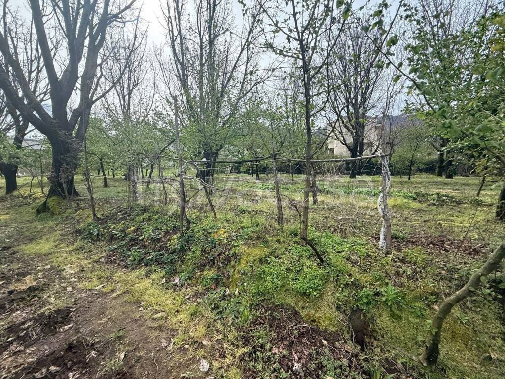 immagine annuncio 2 di 6