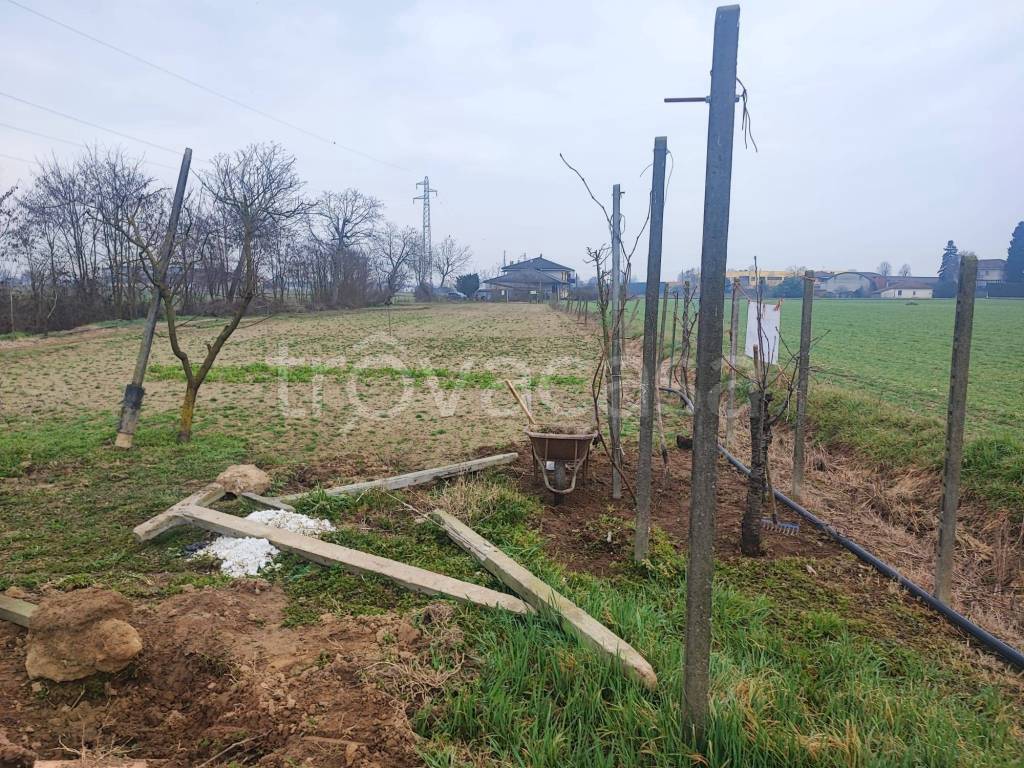 immagine annuncio 4 di 12