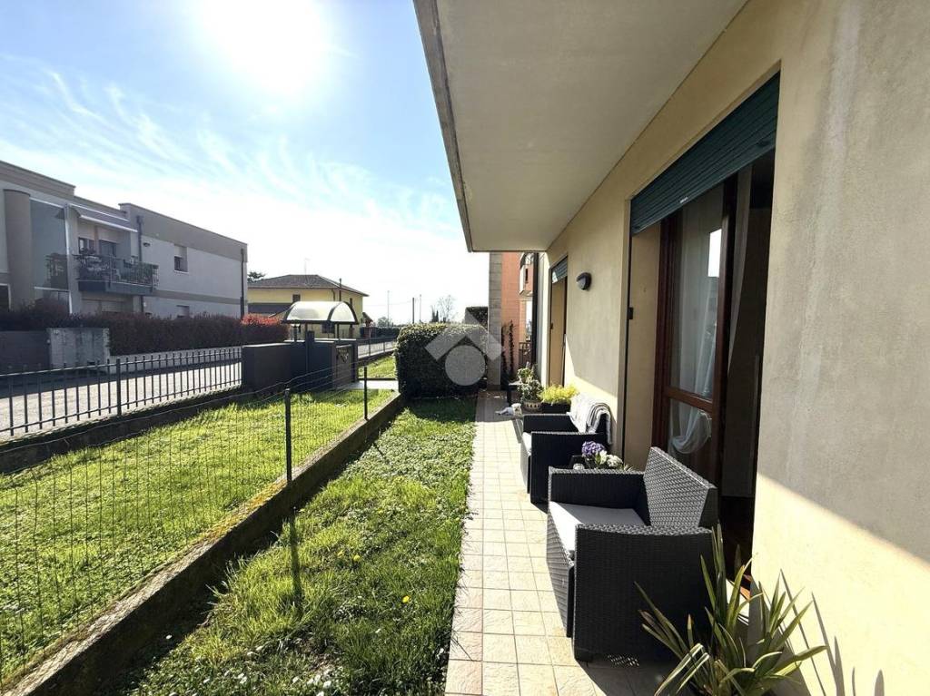 immagine annuncio 7 di 12