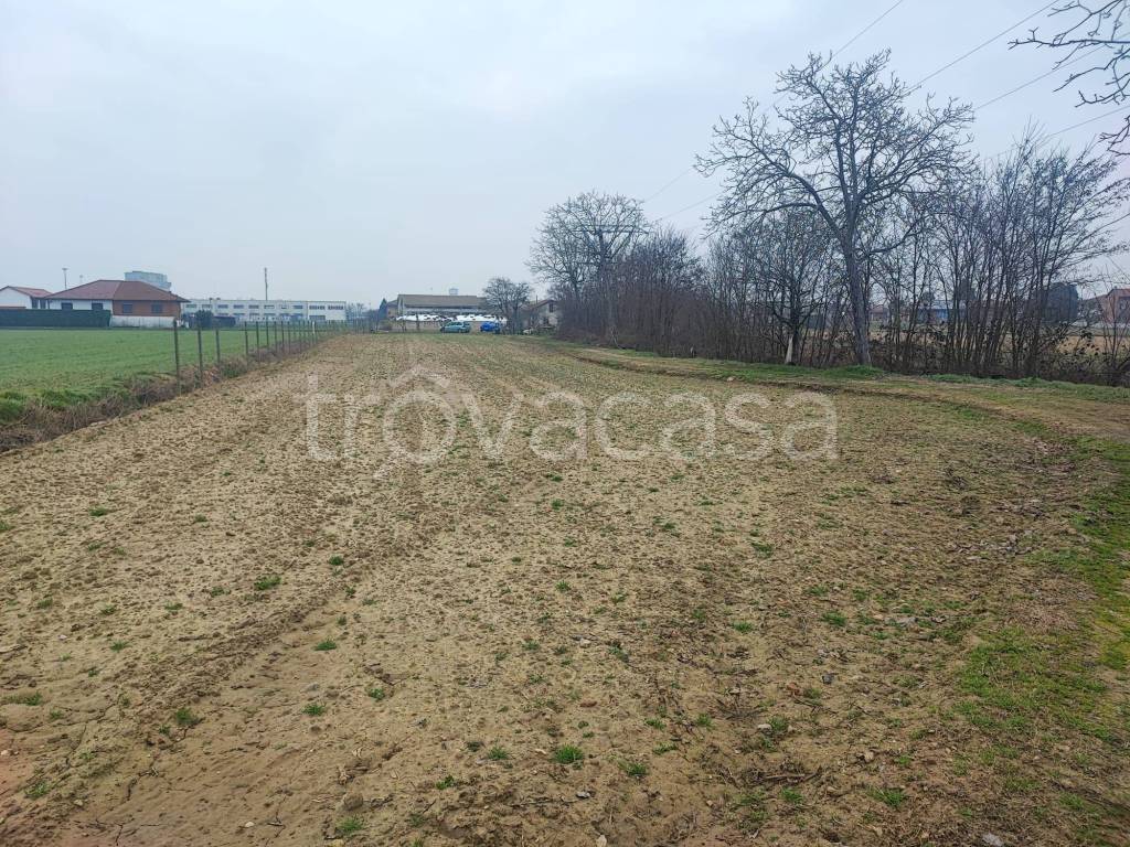 immagine annuncio 10 di 12