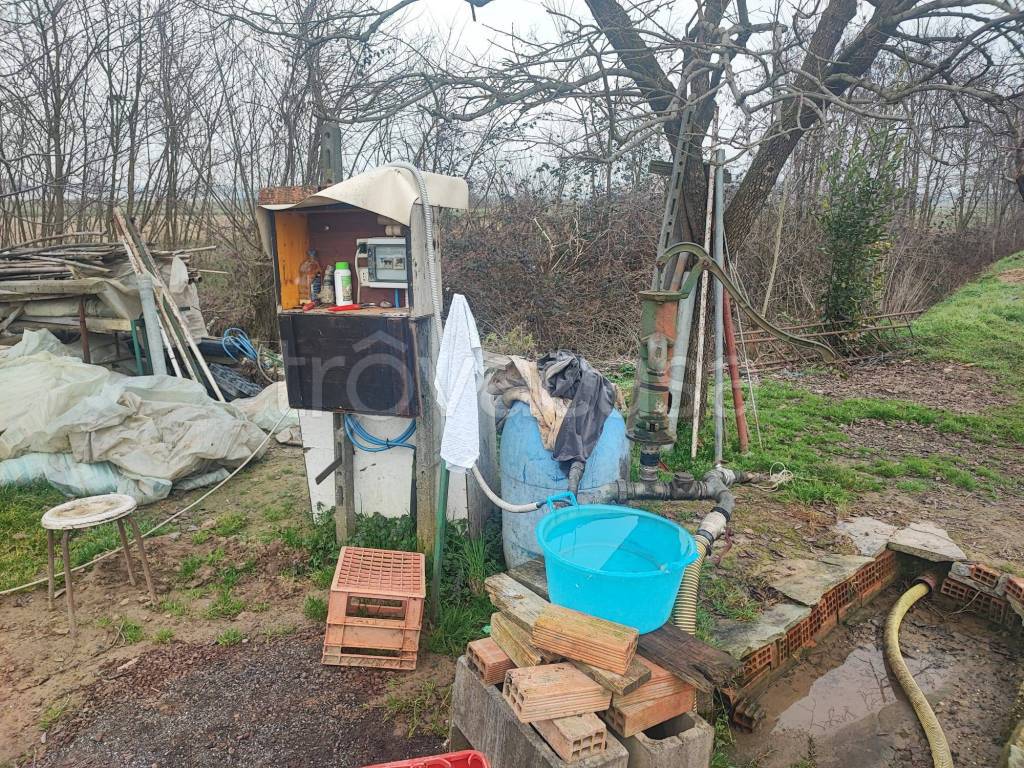 immagine annuncio 11 di 12