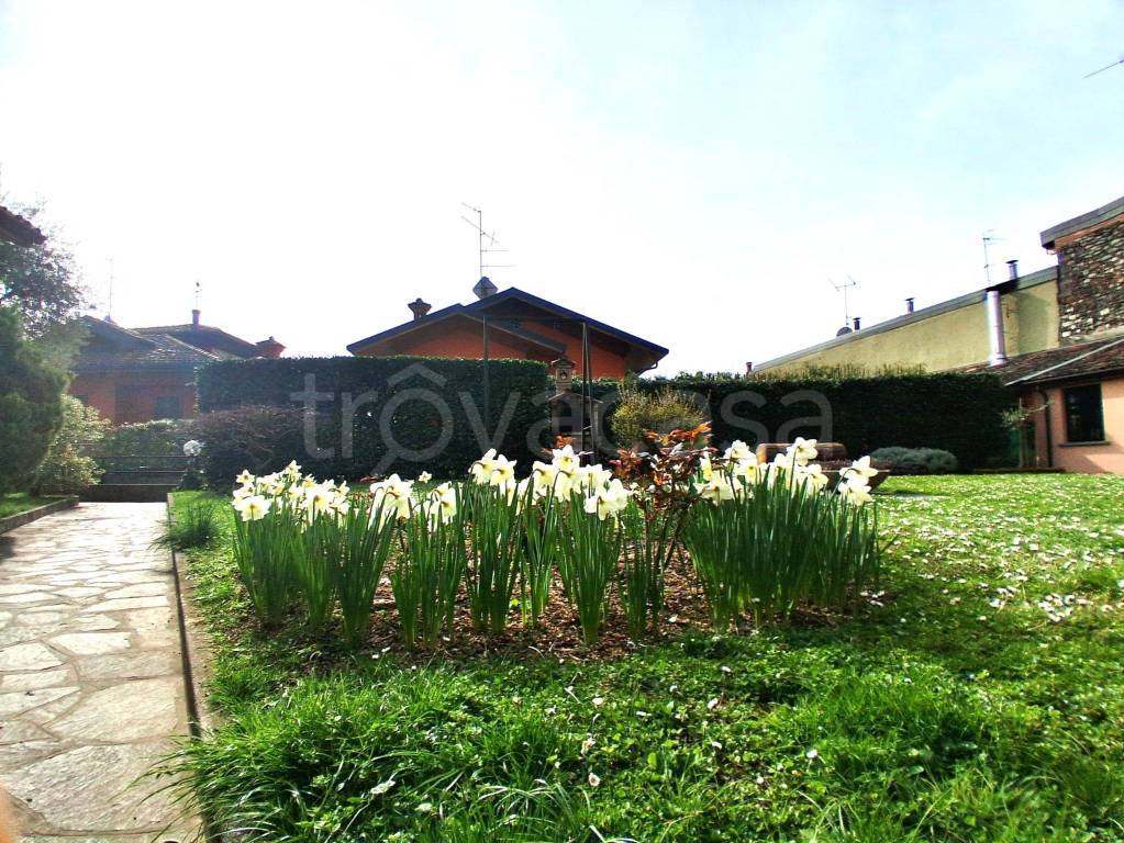 immagine annuncio 5 di 13