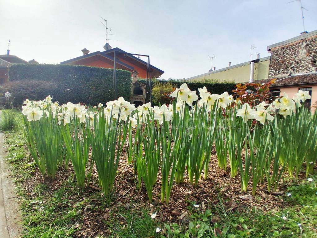 immagine annuncio 6 di 13