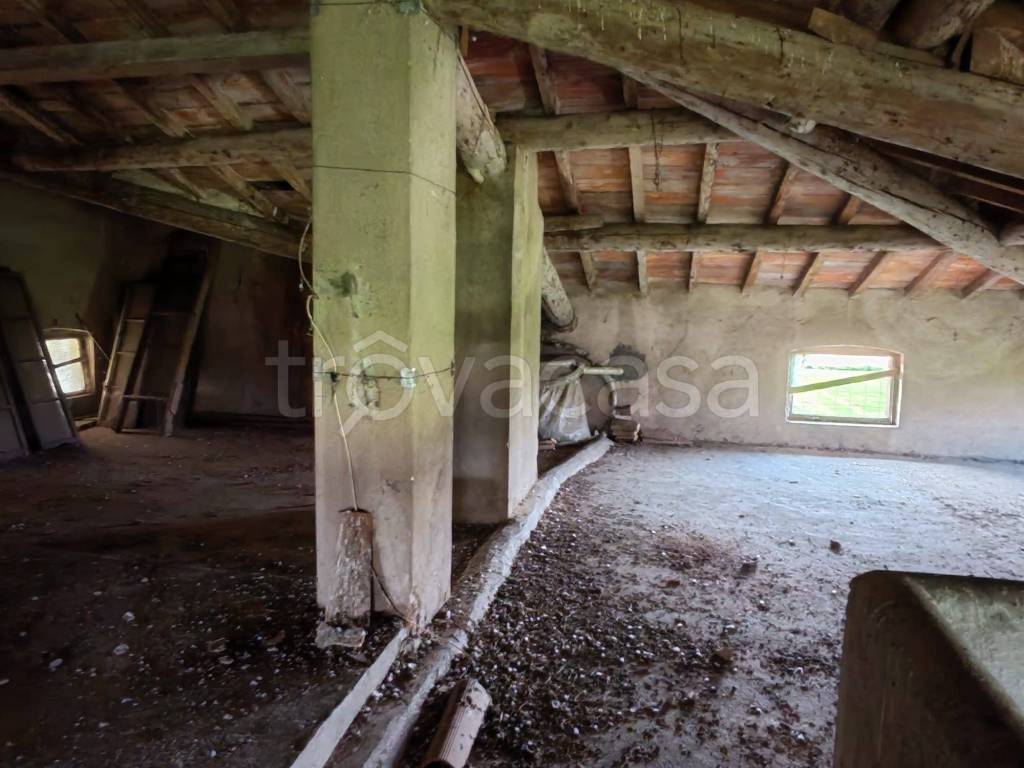 immagine annuncio 5 di 7