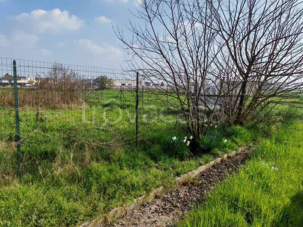 immagine annuncio 6 di 7